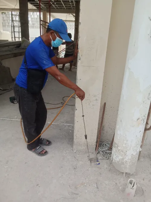 Rayap Menggerogoti Kayu