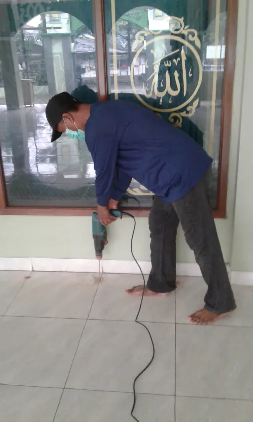 Rayap pada Perabotan Rumah